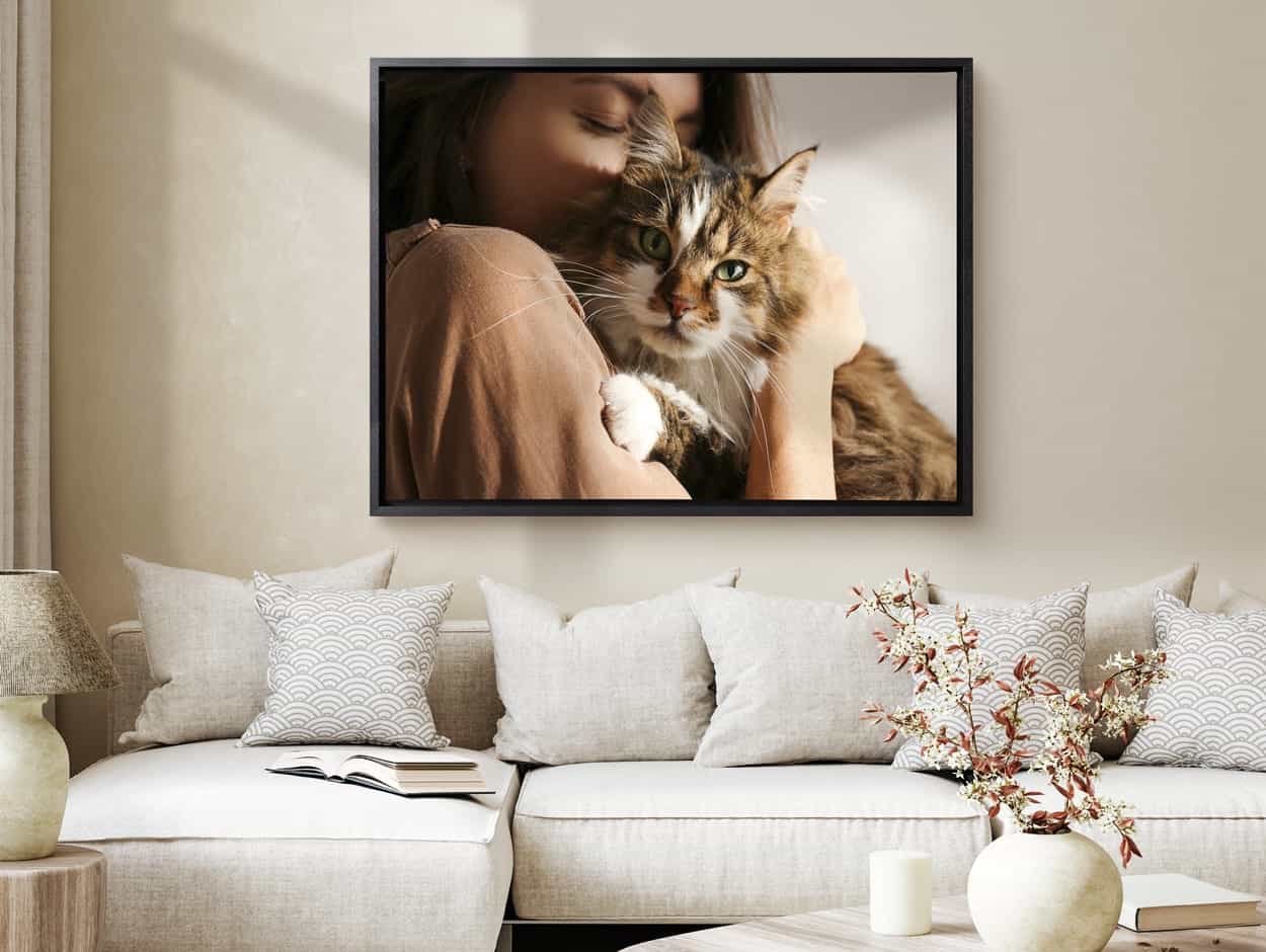 Image d'une chatte sur toile dans un cadre