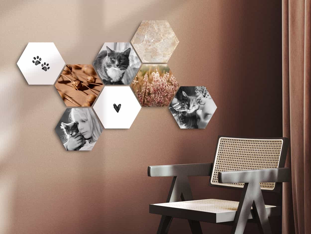 CusttomShapes avec des images de chats